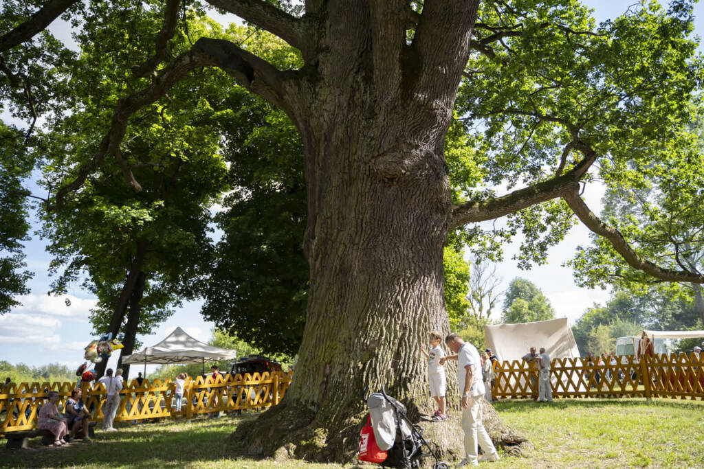 dsc03003 2025 08 17 200519