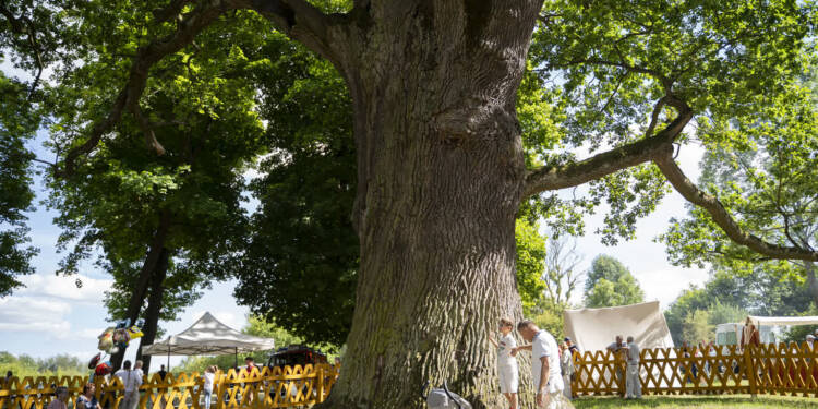 dsc03003 2025 08 17 200519