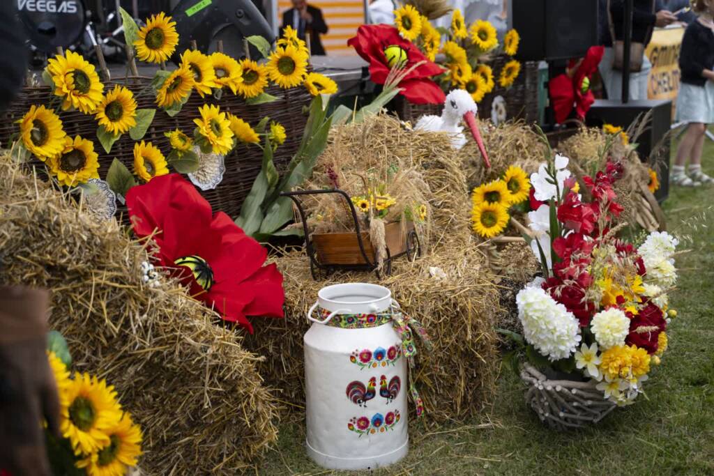 dsc03080 duze 2025 08 24 234432