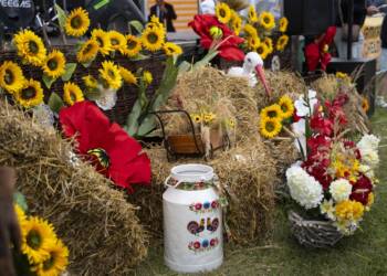 dsc03080 duze 2025 08 24 234432