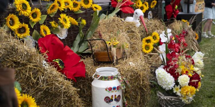 dsc03080 duze 2025 08 24 234432