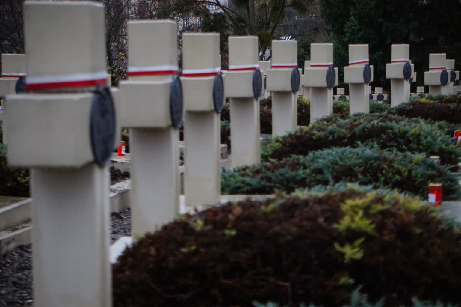 Razem dla przyszłości. Polacy i Ukraińcy wspólnie porządkują słynny cmentarz 5 dsc05794-2023-11-11-171614.jpg