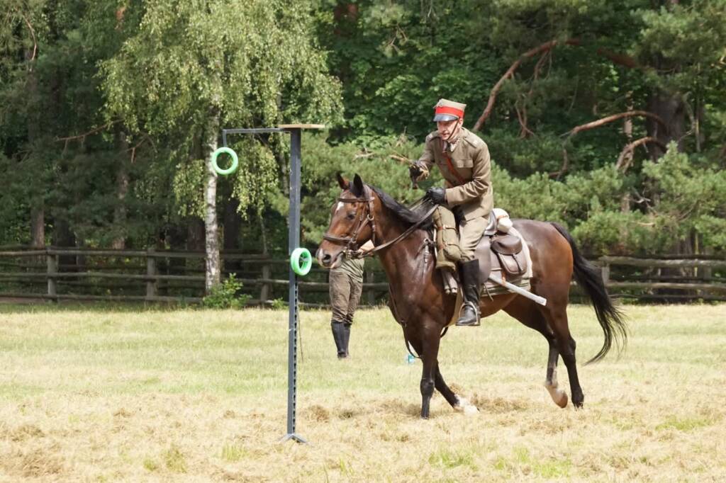 dsc08190 2025 08 02 222618