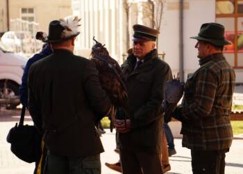 dsc09608 2025 08 23 070833