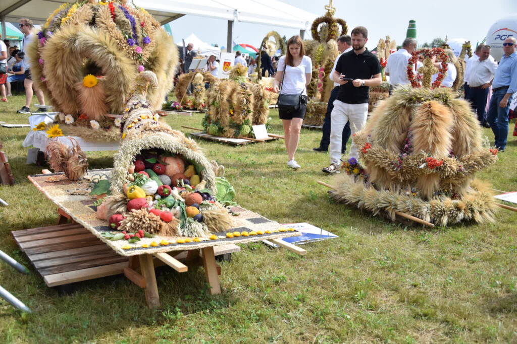 dsc 0976 2023 08 27 202103 2025 08 24 070602