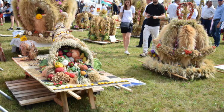 dsc 0976 2023 08 27 202103 2025 08 24 070602