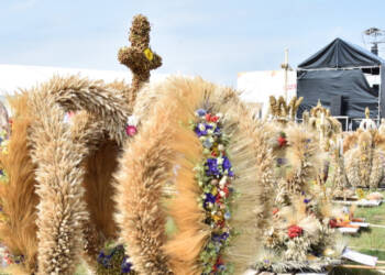 "Każdy może się nauczyć". Dożynkowa tradycja wicia wieńców 6 dsc 0990 2024 07 16 205057