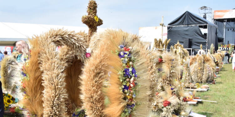 dsc 0990 2024 07 16 205057