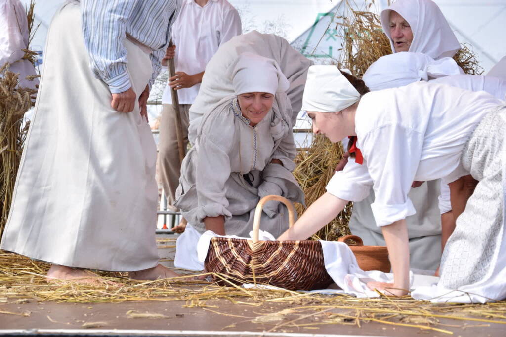 dsc 1123 2023 08 27 210846 2025 08 15 173659