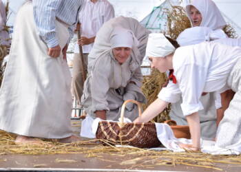 dsc 1123 2023 08 27 210846 2025 08 15 173659