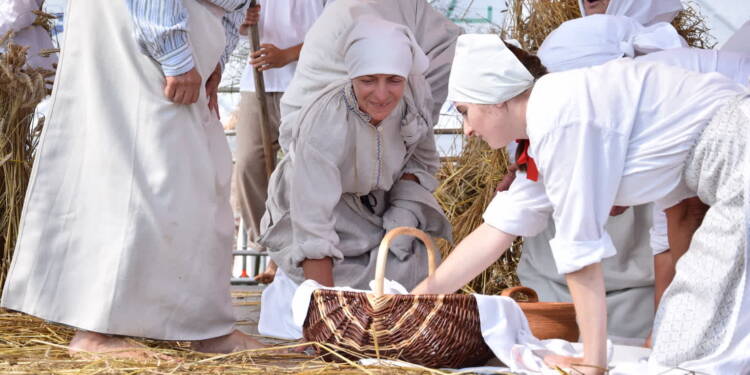 dsc 1123 2023 08 27 210846 2025 08 15 173659