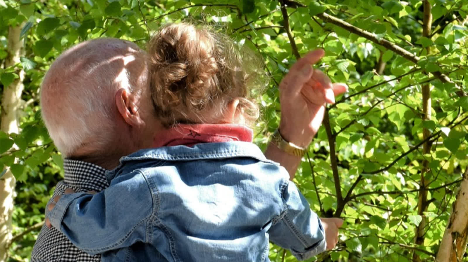 14.08.2025 Piękne życie