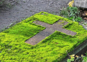 grave 1318279 1280 2025 08 25 222917