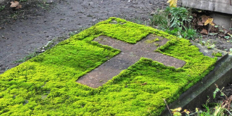 grave 1318279 1280 2025 08 25 222917