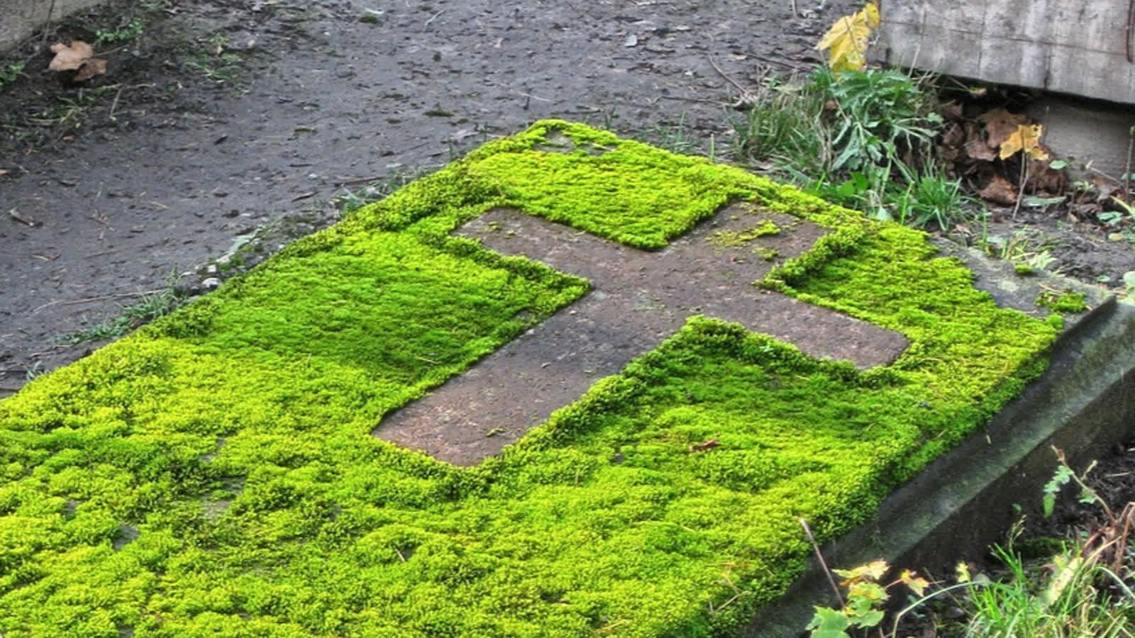 Ukraiński wiceminister: niedługo kończymy ekshumacje szczątków Polaków we Lwowie