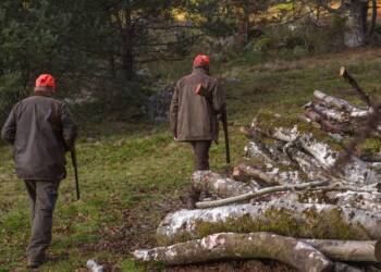 hunt 6789253 1280 2025 08 18 113418