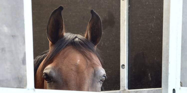 img 0271 2025 08 11 152913