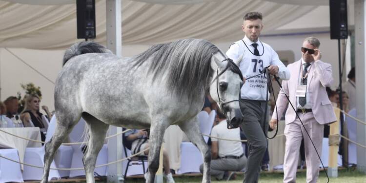 img 0343 2025 08 09 203226 2025 08 10 180806