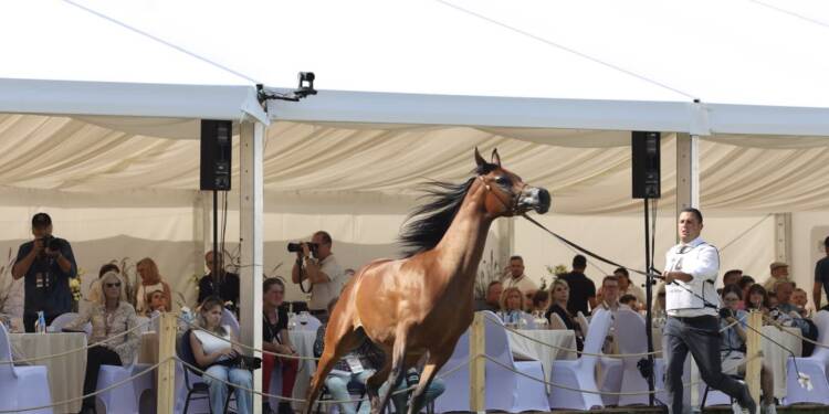 img 0366 2025 08 09 203245 2025 08 09 212500