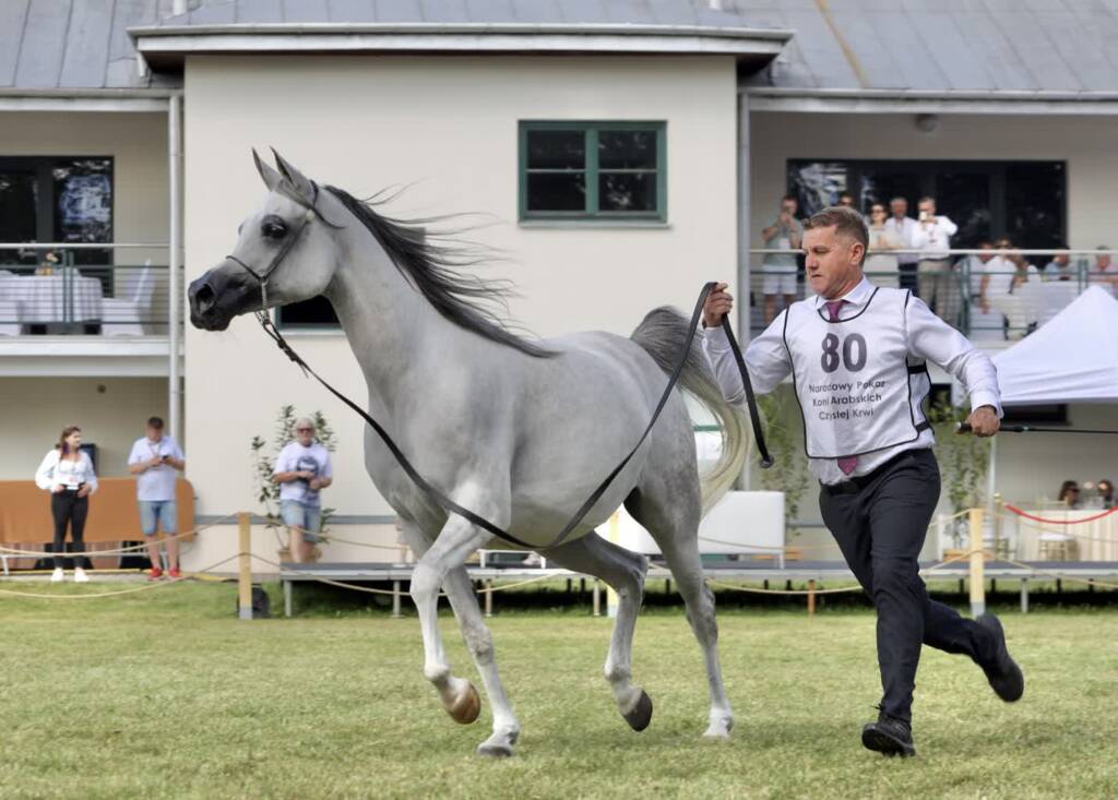 img 0407 2025 08 09 203250 2025 08 10 132014