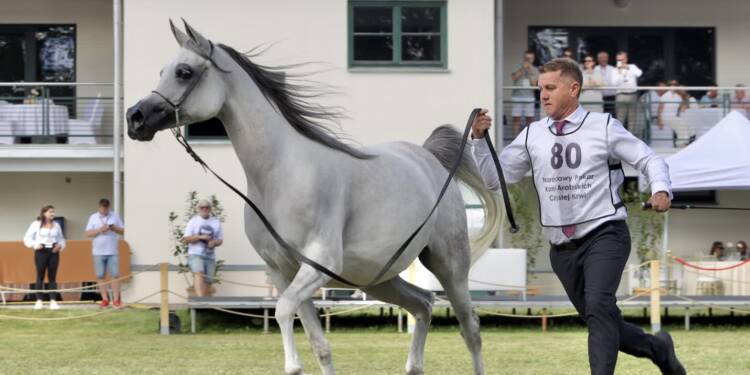 img 0407 2025 08 09 203250 2025 08 10 132014