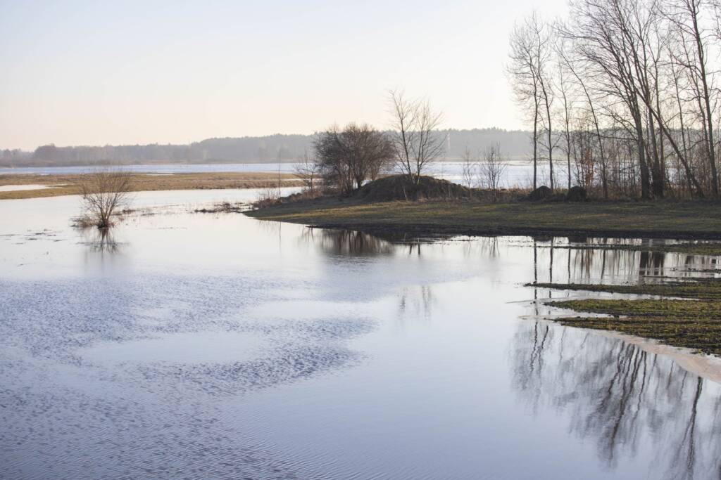 img 0471 2025 08 01 155323