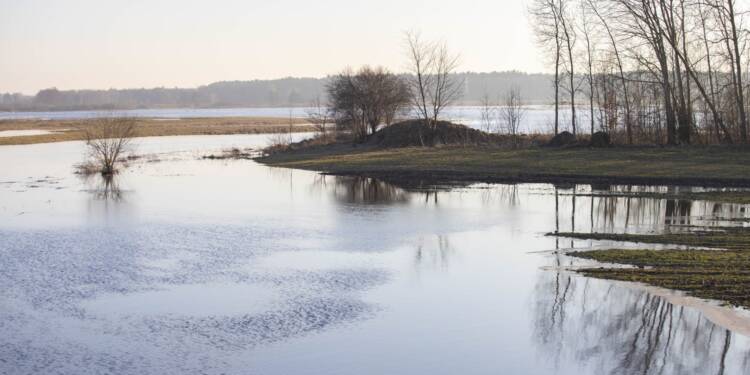 img 0471 2025 08 01 155323