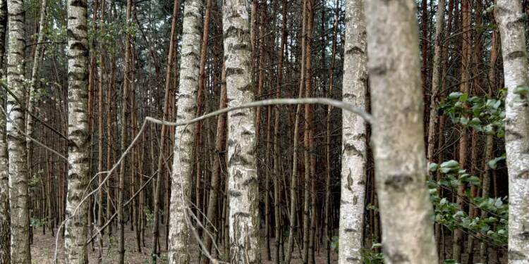 img 1061 2024 09 07 083426 2025 08 15 093728