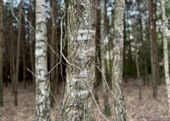 img 1065 2024 09 07 083400