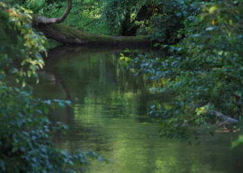 img 20210814 014222 2024 06 11 221042 2025 08 18 170620