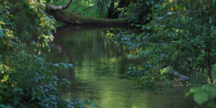 Tragedia nad Wieprzem. Ciało mężczyzny zauważone przez przechodniów 1 img 20210814 014222 2024 06 11 221042 2025 08 18 170620
