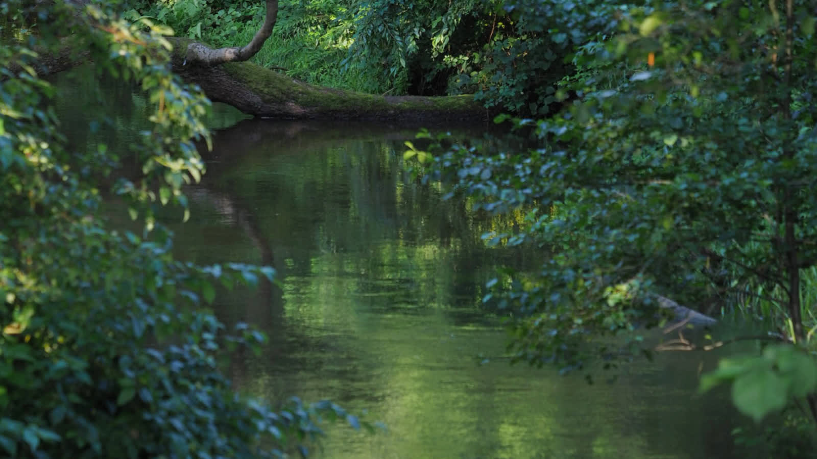 Tragedia nad Wieprzem. Ciało mężczyzny zauważone przez przechodniów
