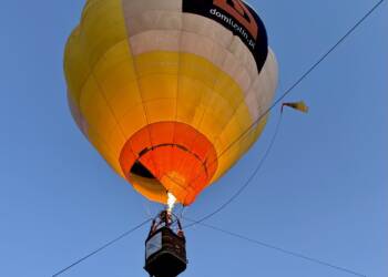 img 2037 2025 08 16 092803