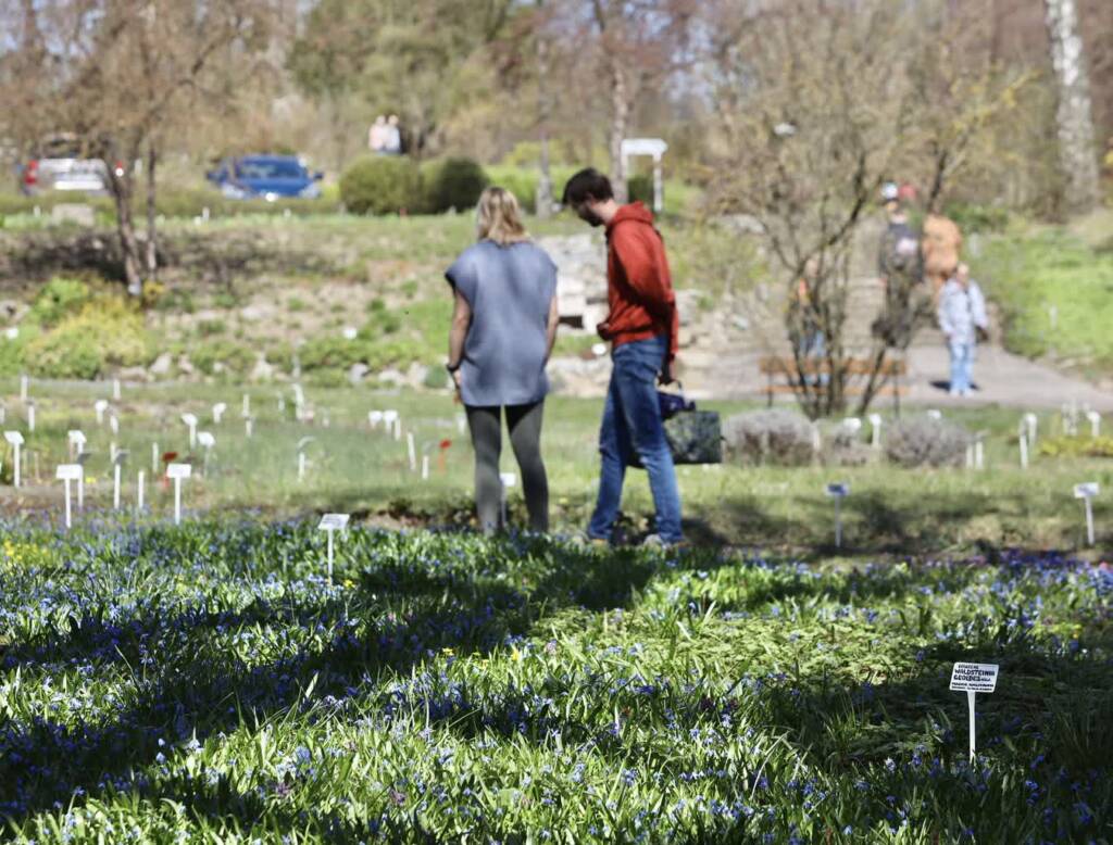 img 4027 2025 04 13 145422 2025 08 03 084505