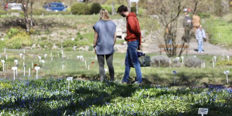 img 4027 2025 04 13 145422 2025 08 03 084505