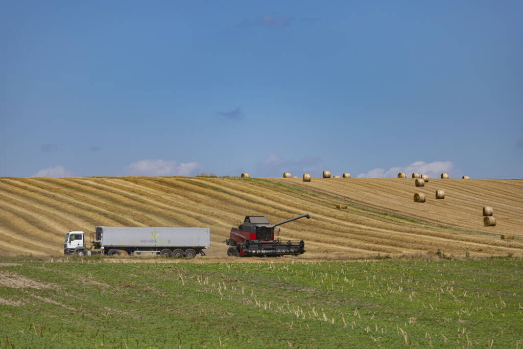 img 8643 2025 08 18 140858