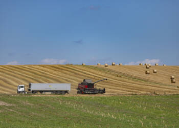 img 8643 2025 08 18 140858