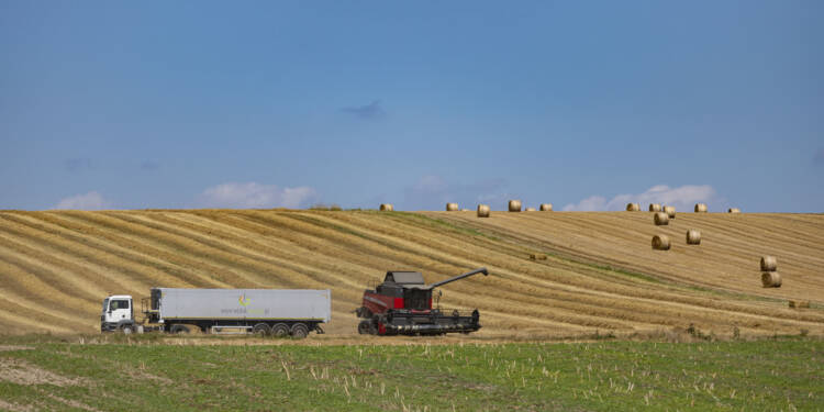 img 8643 2025 08 18 140858