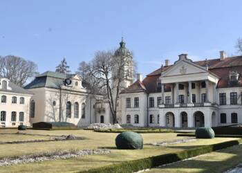 img 9233 2025 08 17 080812