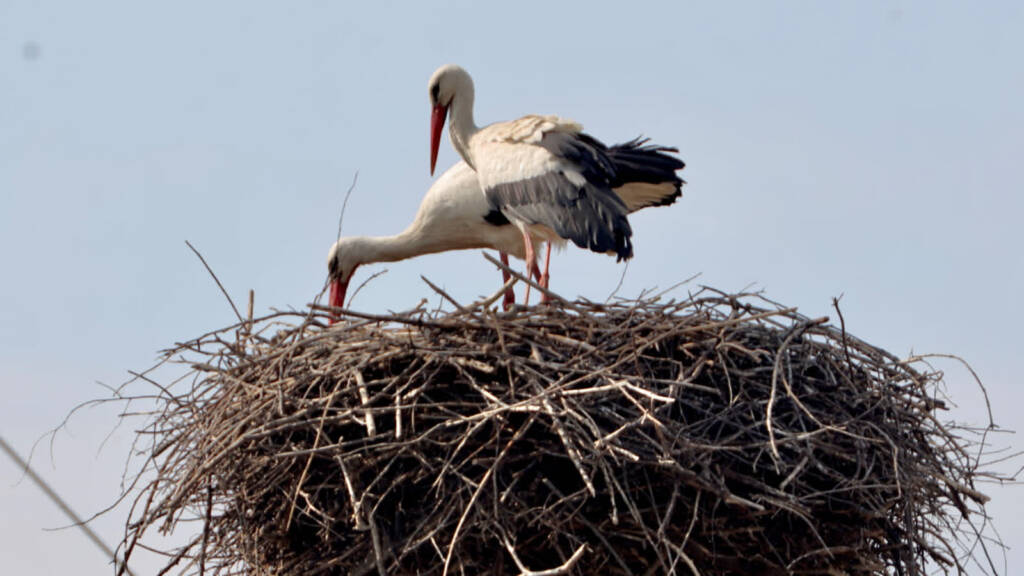 img 9269 2025 08 22 202341