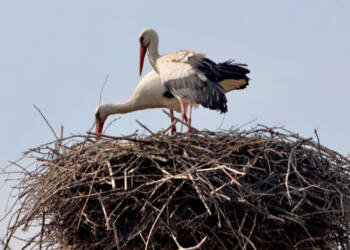 img 9269 2025 08 22 202341