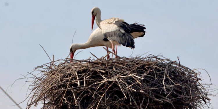 img 9269 2025 08 22 202341