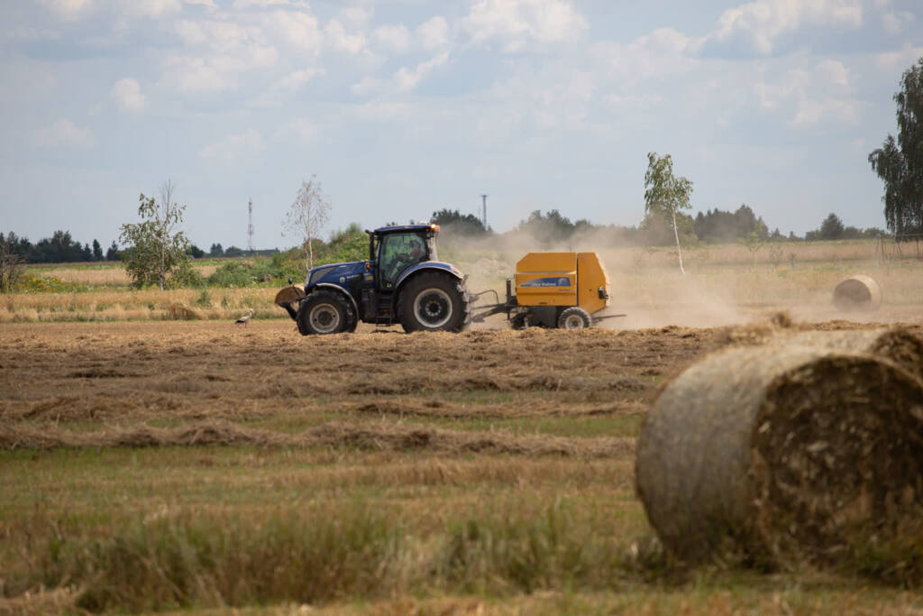 img 9831 2025 08 15 181908