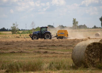 img 9831 2025 08 15 181908