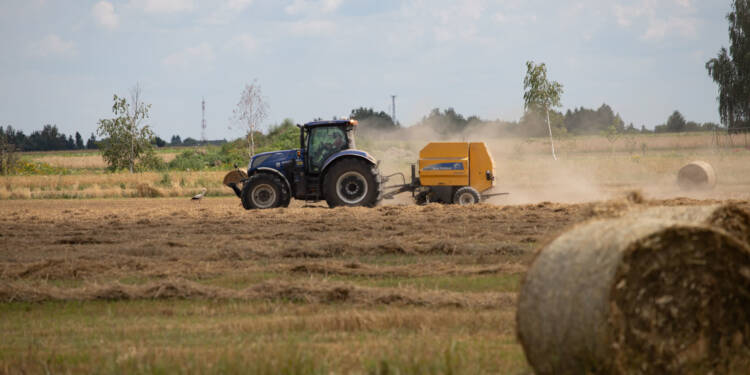 img 9831 2025 08 15 181908