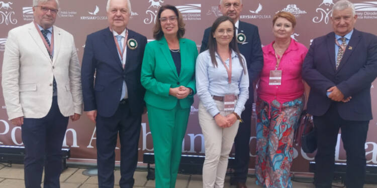 janow 1 2025 08 08 220139