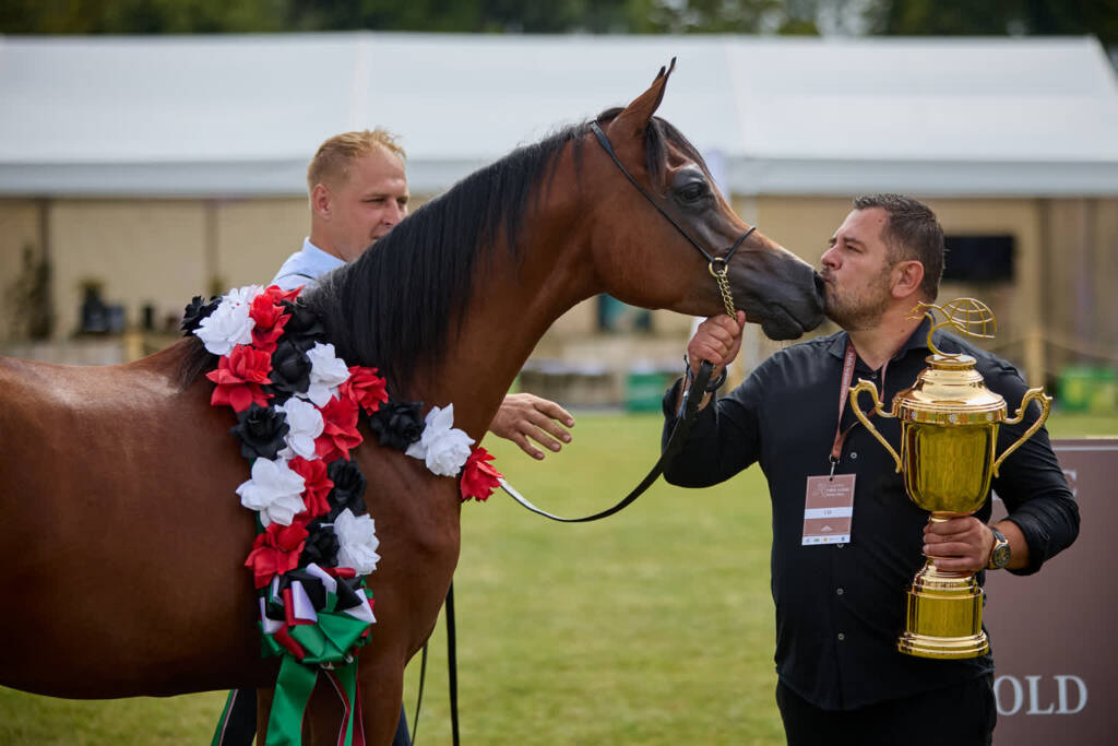 k90a7239 2025 08 09 182213