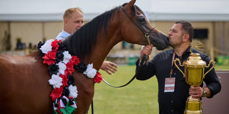 k90a7239 2025 08 09 182213