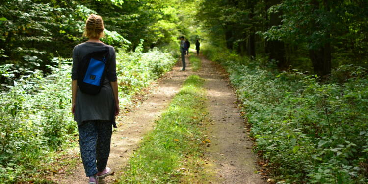 kks 3637 2025 08 15 082652