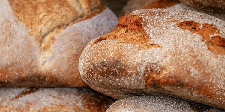 loaf 3471667 1280 2025 08 08 193838